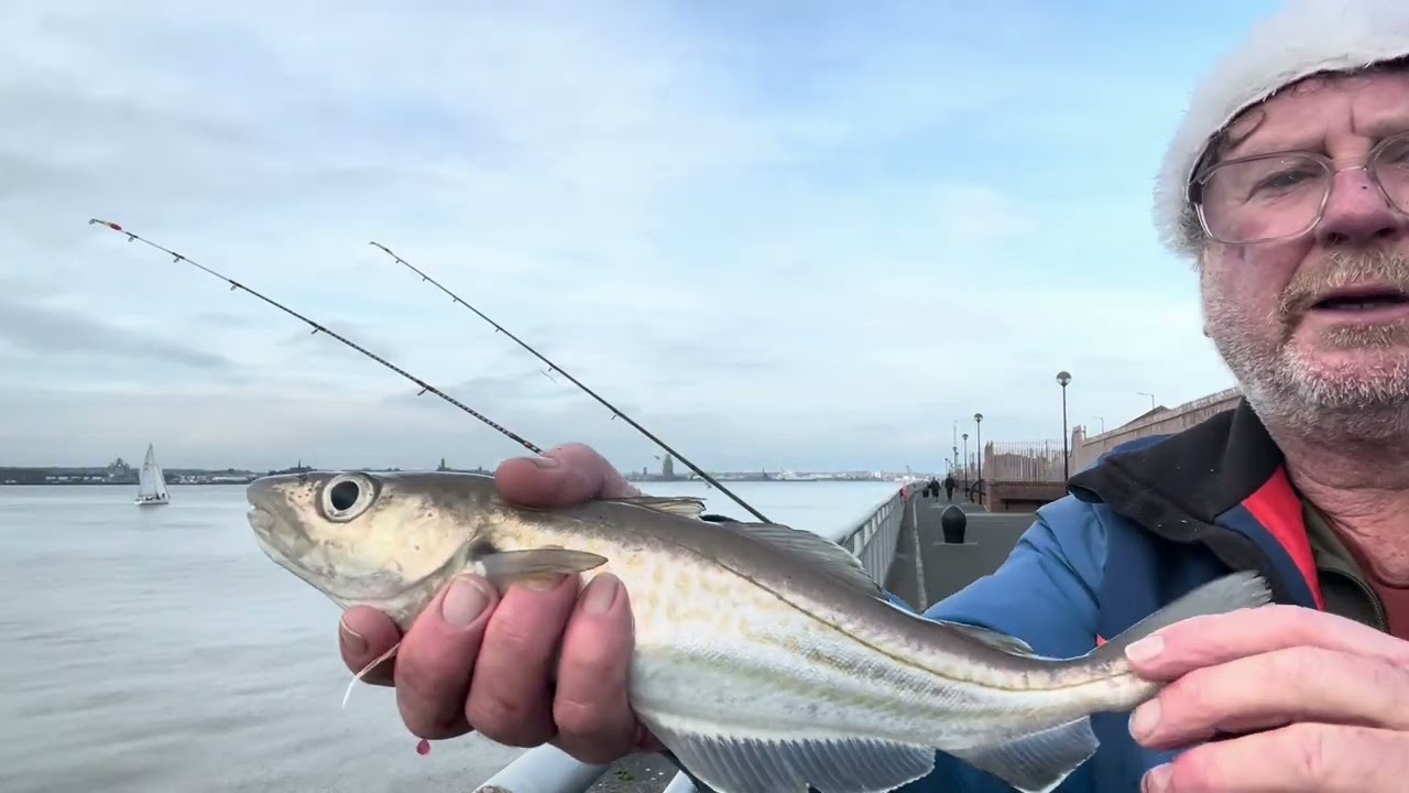 Christmas cod hunt 