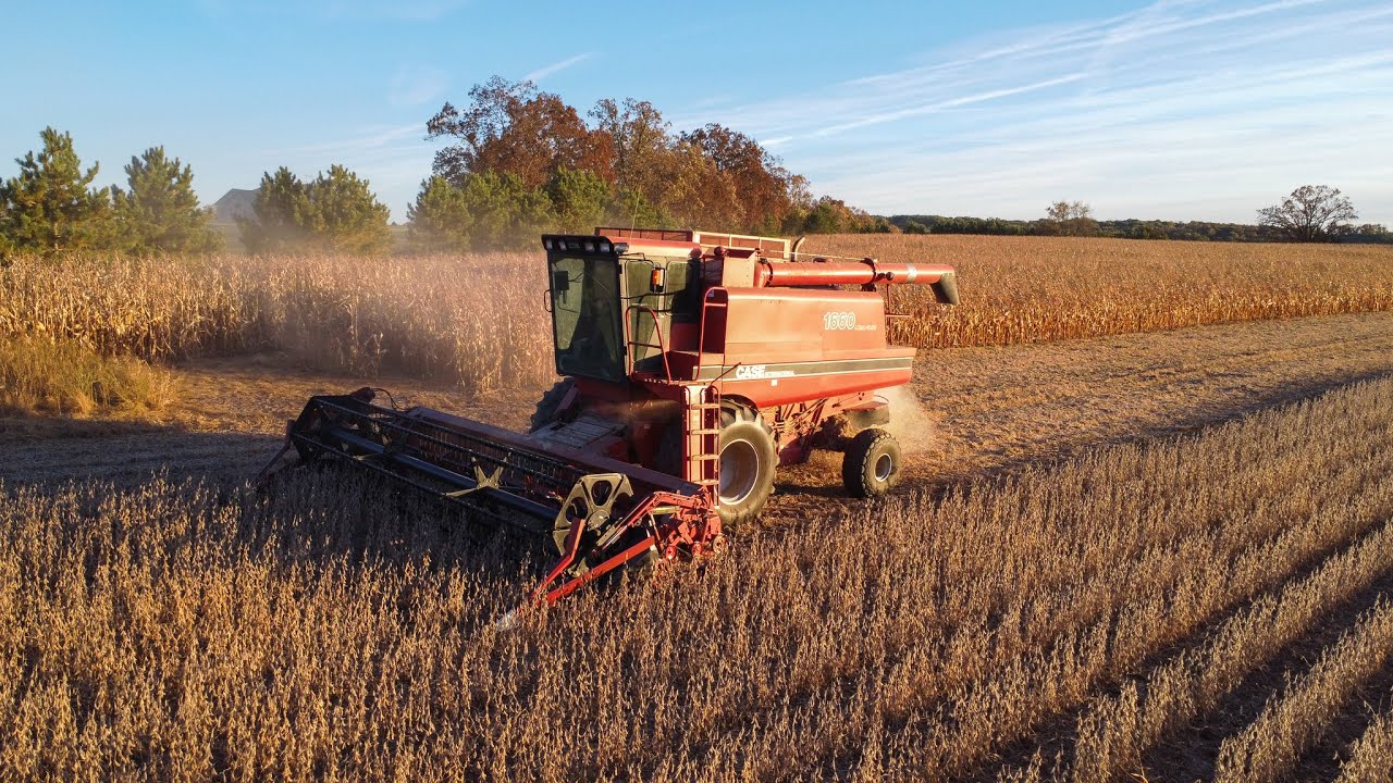 Case 1660 Soybean Harvest