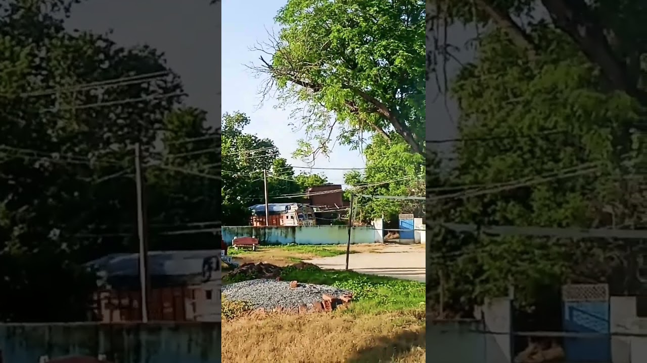 duniya banane wale#🌲🌲hindi