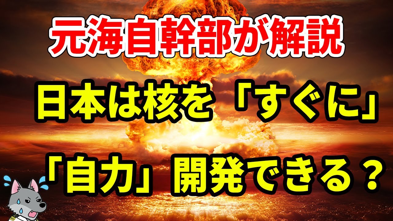【元海上自衛隊幹部が解説】日本はすぐ核兵器を自力開発できるか？【日本核保有】