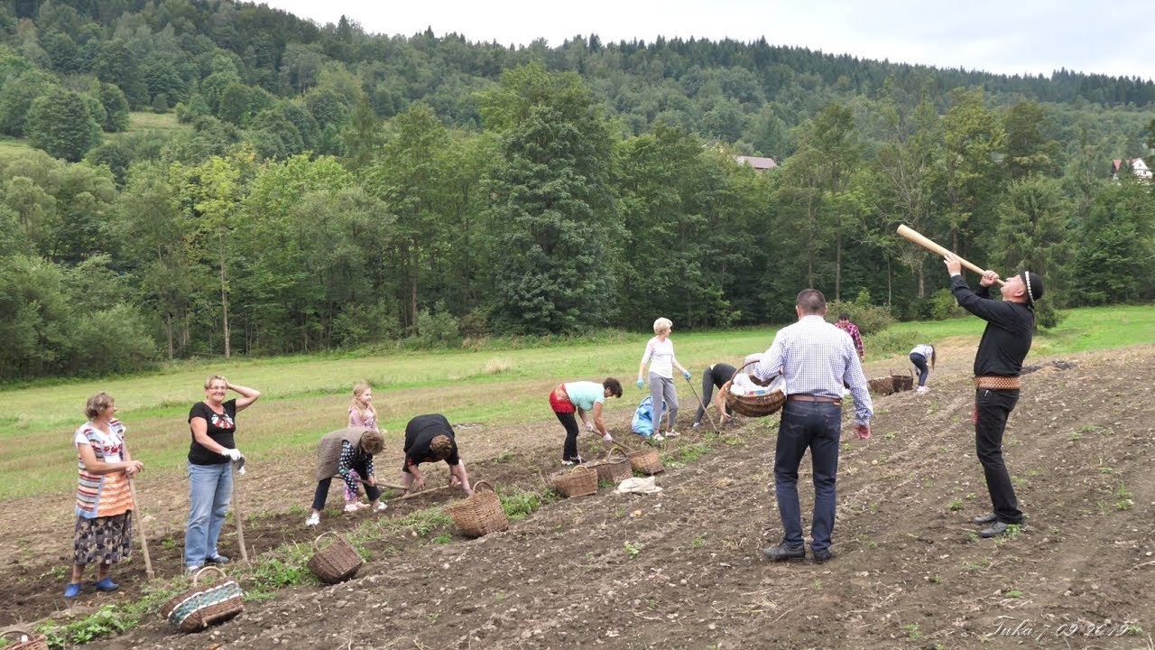 Tuka 2019 - Ekomuzeum Bogdanówka - Kapela Trzebuńskie Kliszczaki - Święto Ziemniaka