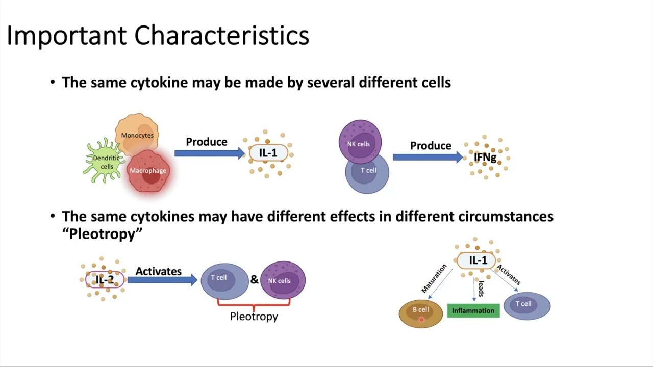 Arabic : What are the Cytokines? ما هي السايتوكينات
