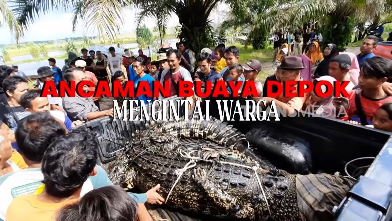 ANCAMAN BUAYA DEPOK MENGINTAI WARGA | INDONESIAKU (26/01/26)