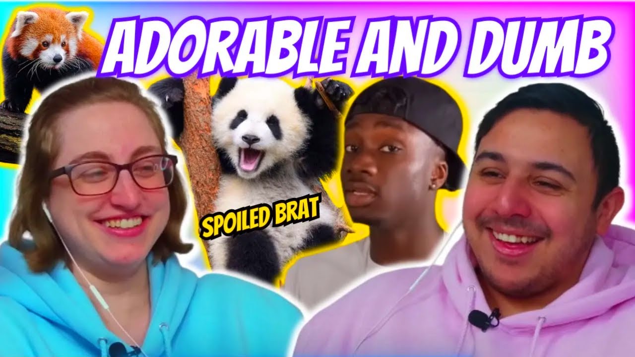 Casual Geographic - Should we let NATURE FINALLY DELETE PANDAS | Eli and Jaclyn REACTION!!