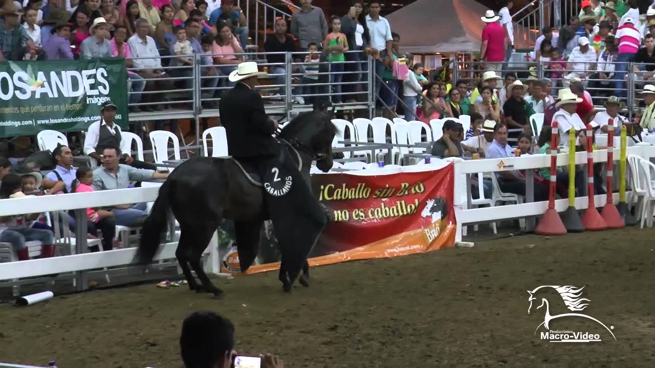 PONDEROSA ESTRAT&Eacute;GICA DE CHAPALA CATAMA 2015