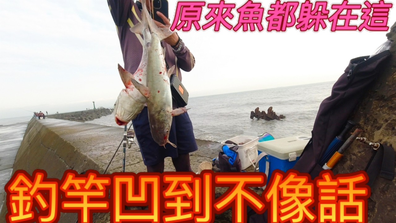 這魚實在是太狂了.中魚一直出線.釣竿一定要顧好.不小心就飛下海.每次我要放生大家就搶著要.有這樣好吃嗎? 實在是有夠誇張~ #遠投 #釣魚 #竹圍漁港 #合興釣具 #追擊者 #紫焰