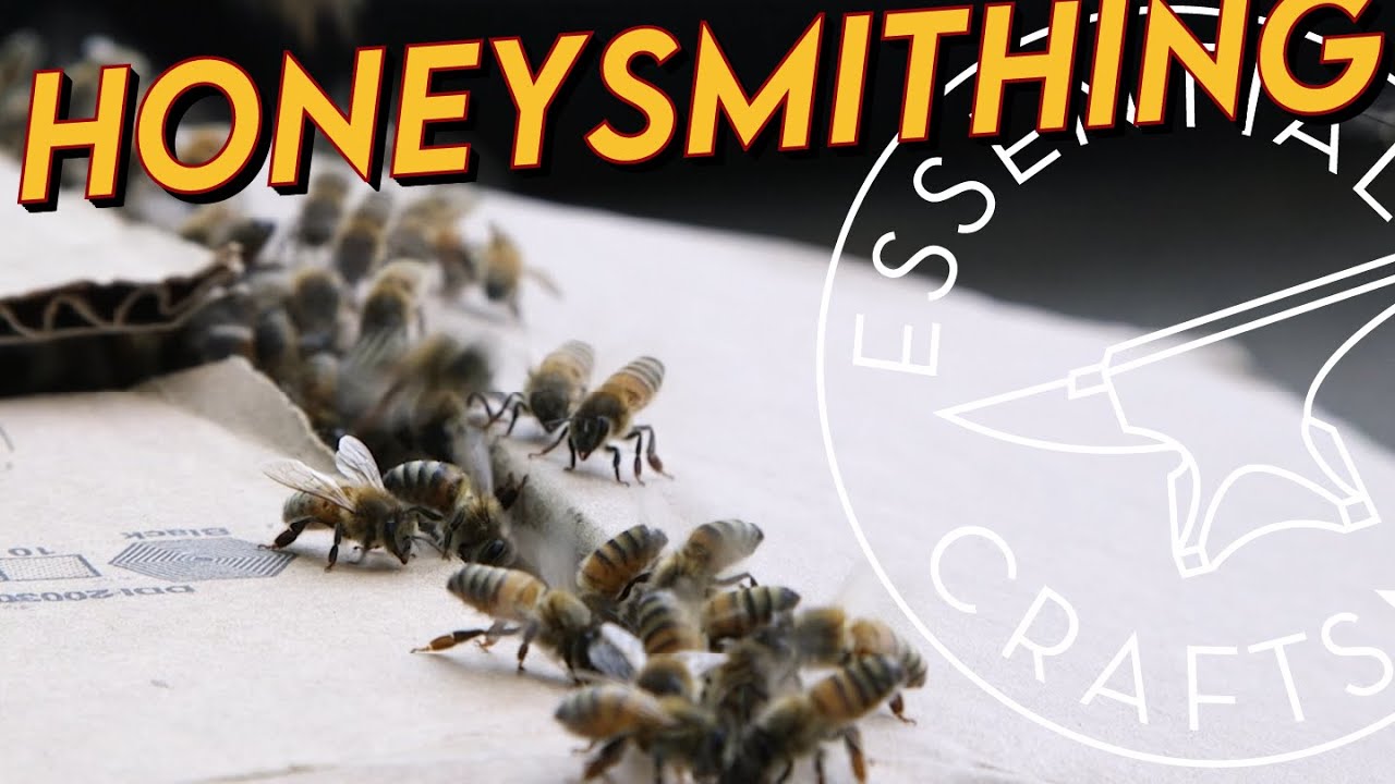 How to Keep Bees