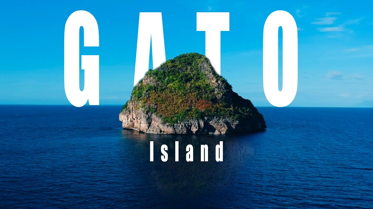 Gato Island : Cave diving with sharks