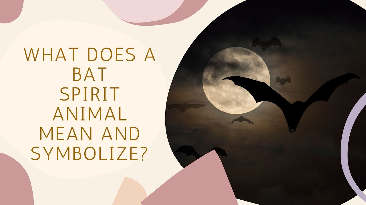 What Does a Bat Spirit Animal Mean and Symbolize?