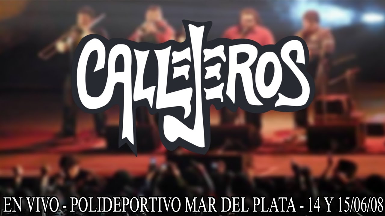 Callejeros - En vivo Polideportivo Mar del Plata - 14 y 15 de Junio de 2008