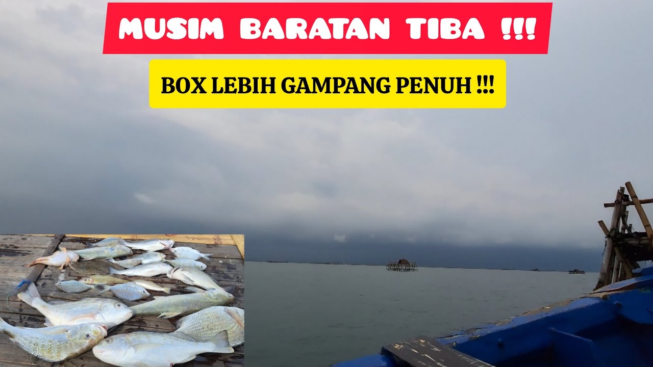 BARATAN !!! ASAL KUAT BEGADANG DAN ASAL KUAT MENTAL || BAGAN BABE MAMUNG TANJUNG KAIT