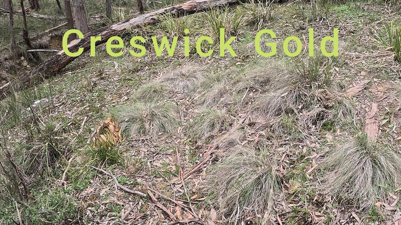 Creswick Gold