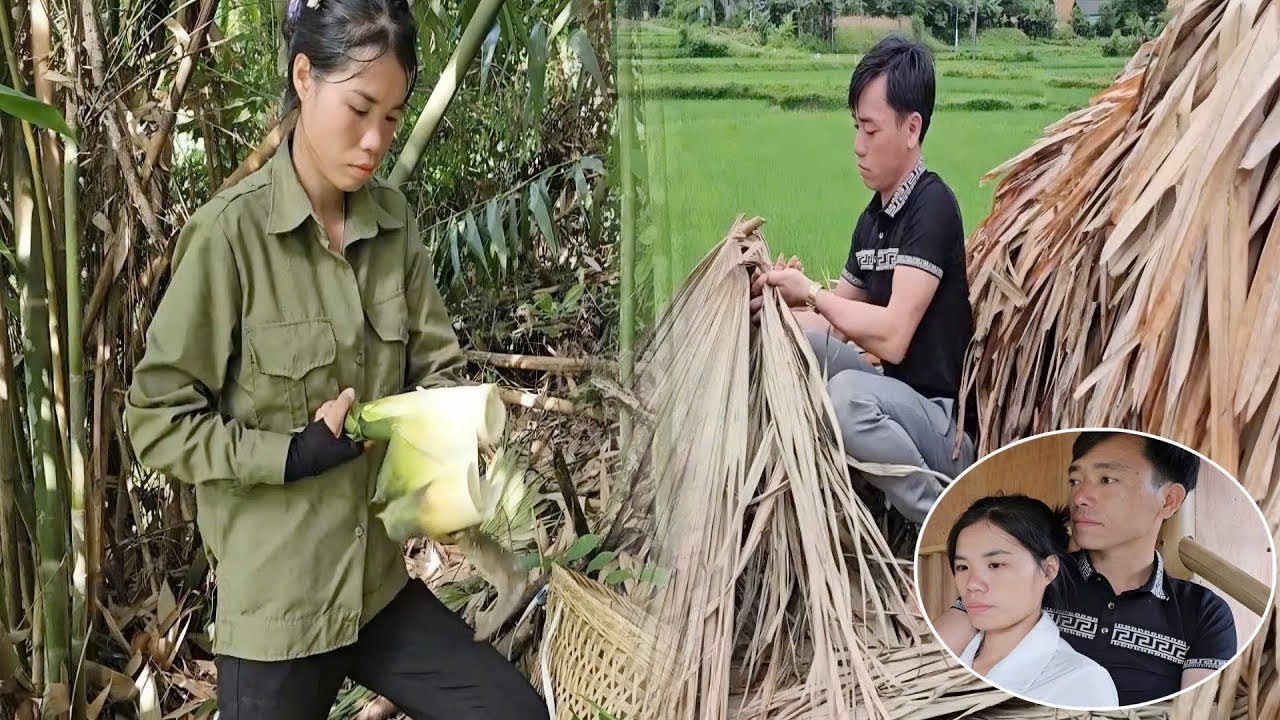 The mute mother went to pick bamboo shoots, Doctor Bao helped her repair the house