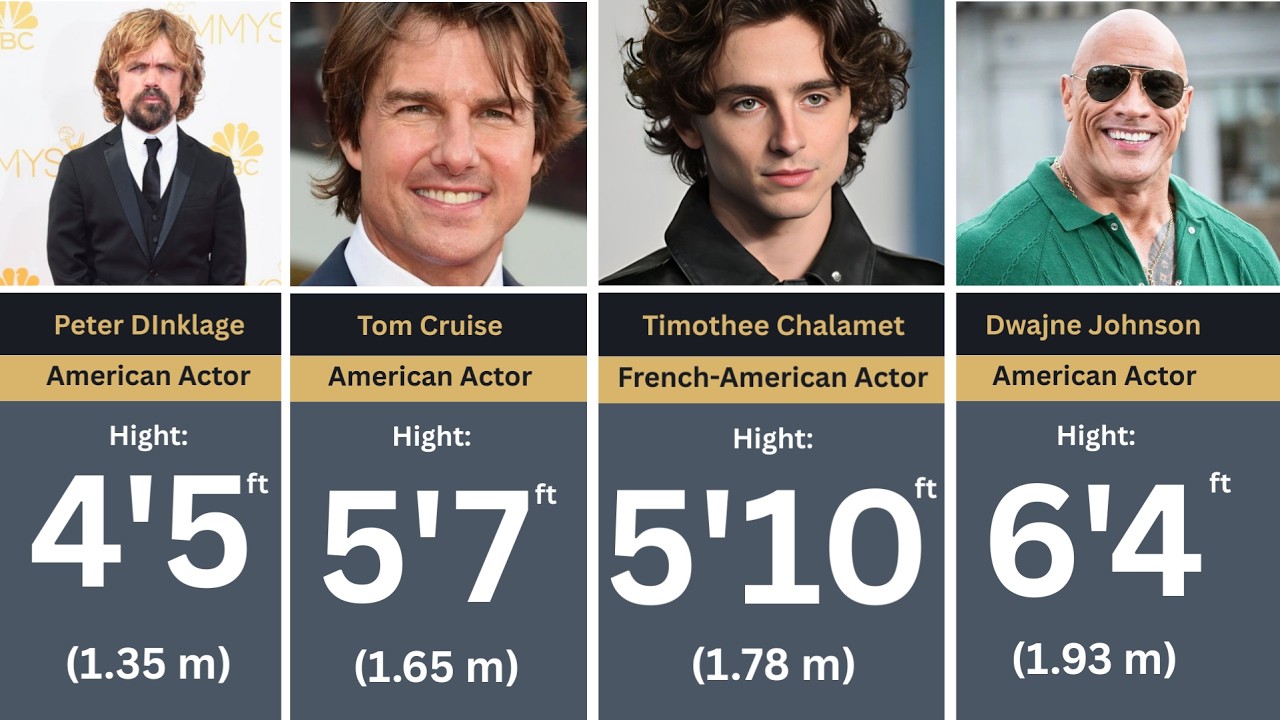 The True Heights of 200+ Hollywood Actors – How Tall Are They Actually?