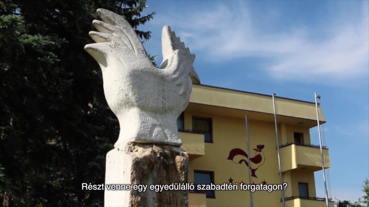 Hotel Picok