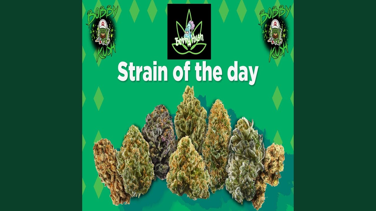 Strain of the day