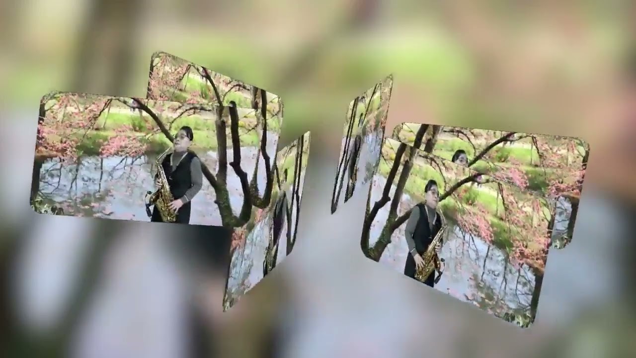 쎅소폰연주 (할미꽃사연)장청자 구구독과좋아요 큰힘이됩니다 
