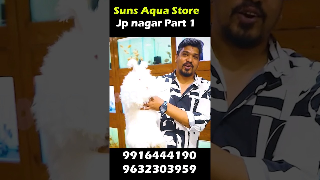 #scarletmacaw  #aquarium #fish #pets #sunsaquastore #dsrcvlogs #exoticpets #talkingparrot