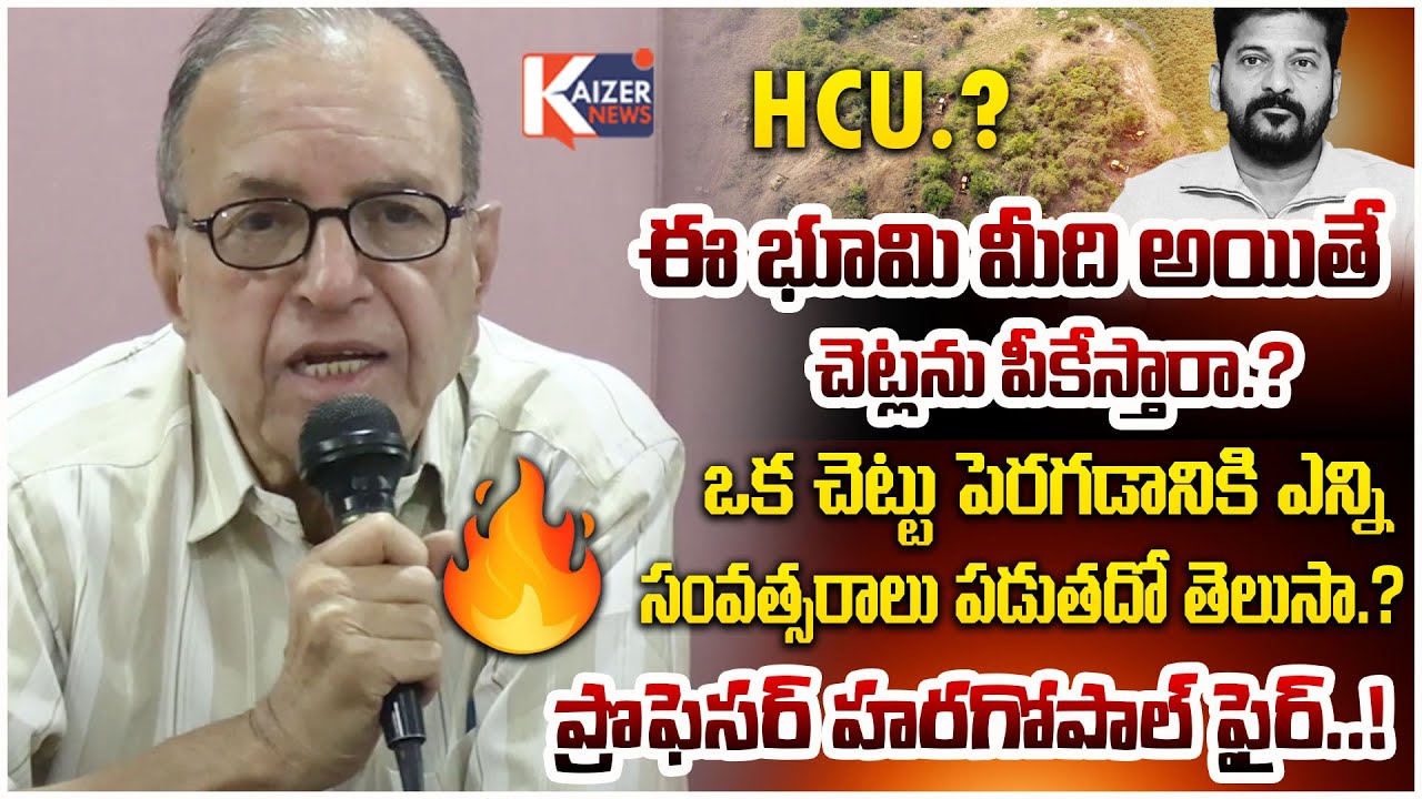 Professor Haragopal About HCU Land Dispute & Trees Demolitions | Congress Govt & Revanth | KZR NEWS