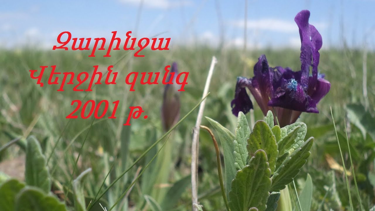Զարինջա, Վերջին զանգ, 2001թ. @Zarinja