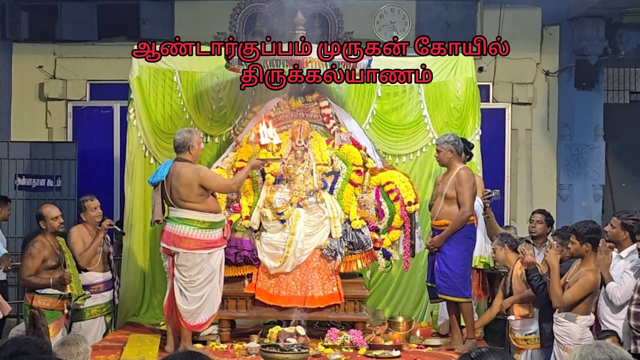 ஆண்டார்குப்பம் முருகன் கோயில் திருக்கல்யாணம் #murugan#muruga#muruganthunai#murugantemple