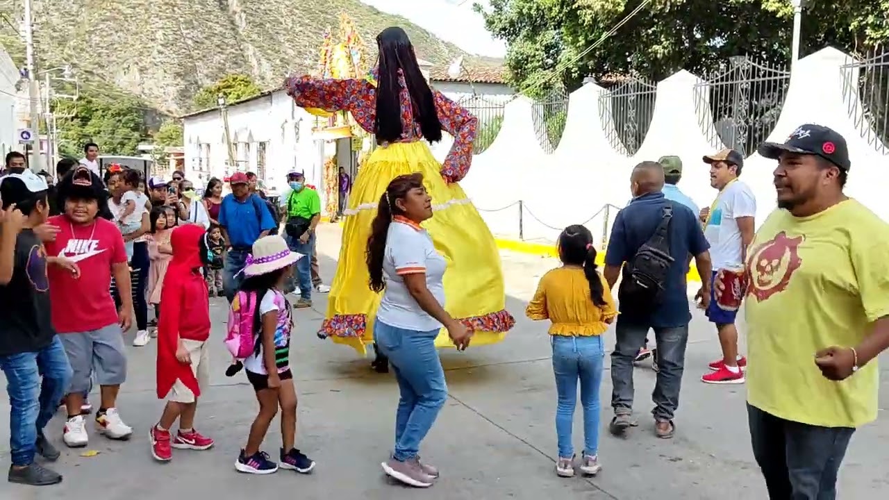 😱el baile de la mona así bailaron al son de la banda😱