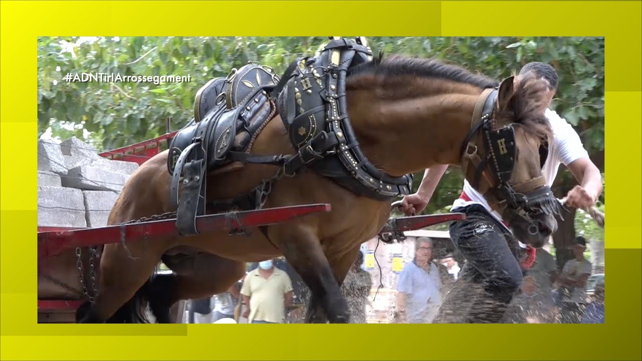 EL MILLOR PASE PER A JOEL. UN CRONO HISTÒRIC