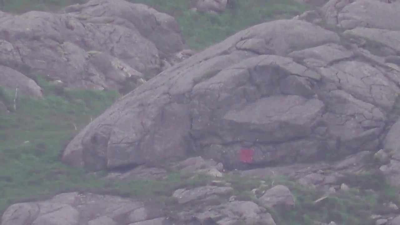 1340 meter 7mm wsm