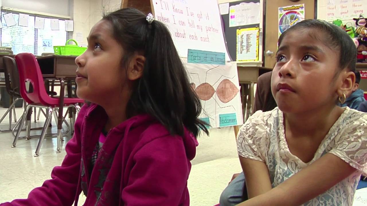 Teacher communicates content clearly and accurately - Example 10