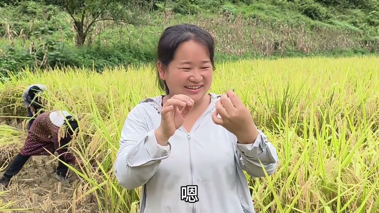 农村稻谷迎来大丰收，三个小时收了13袋，亲戚互相帮，太给力了 #我的乡村生活 #秋收 #收稻谷