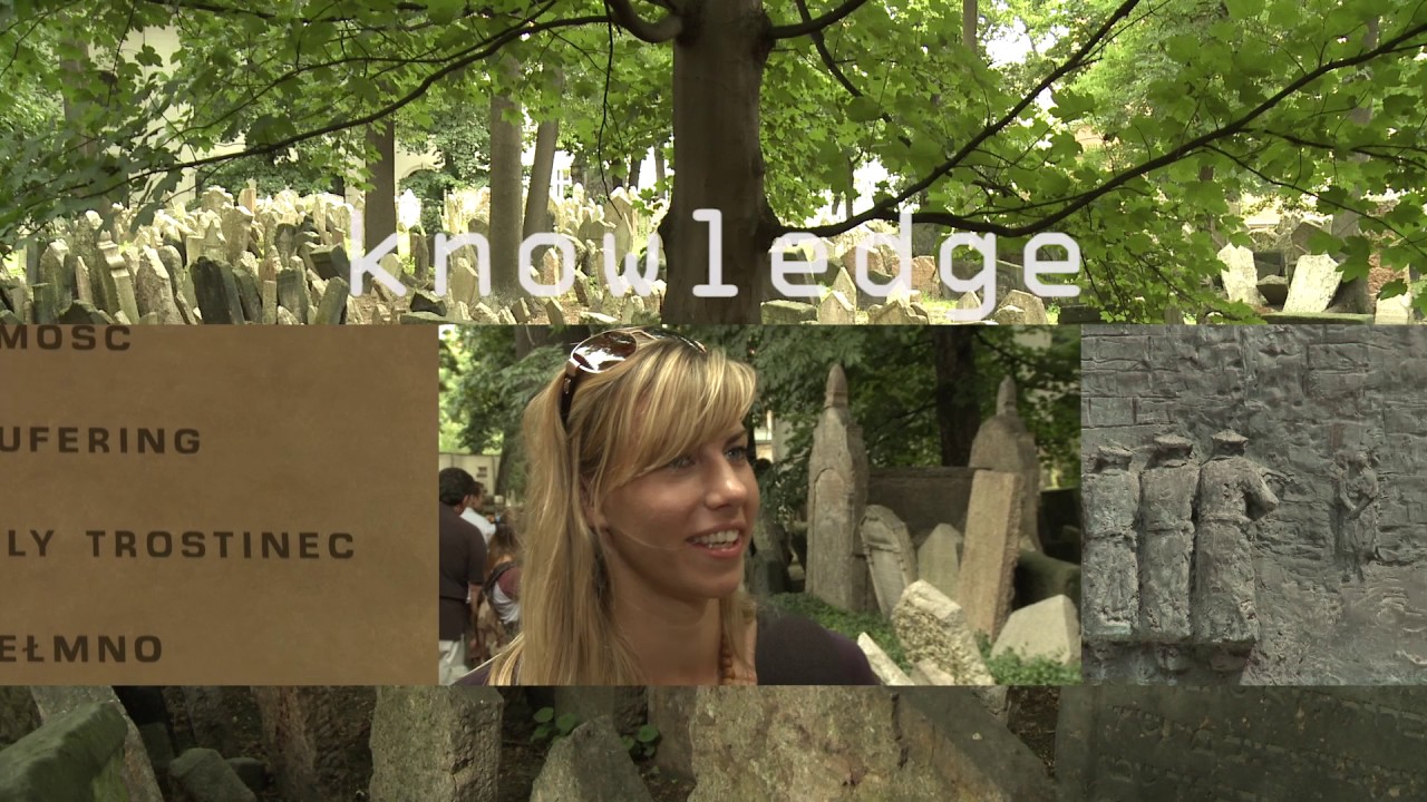 Public History of the Holocaust