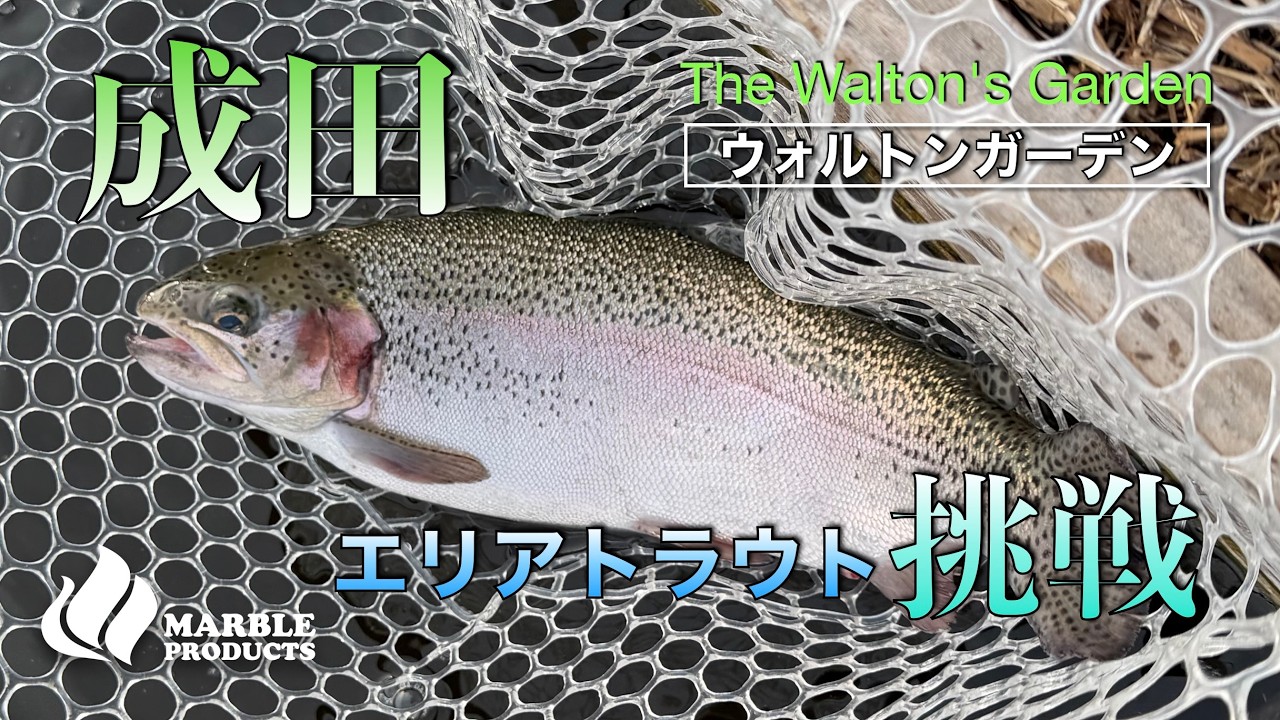 成田の【ウォルトンガーデン】でエリアトラウト/激寒のポンドでボトム戦略【エリアトラウト】
