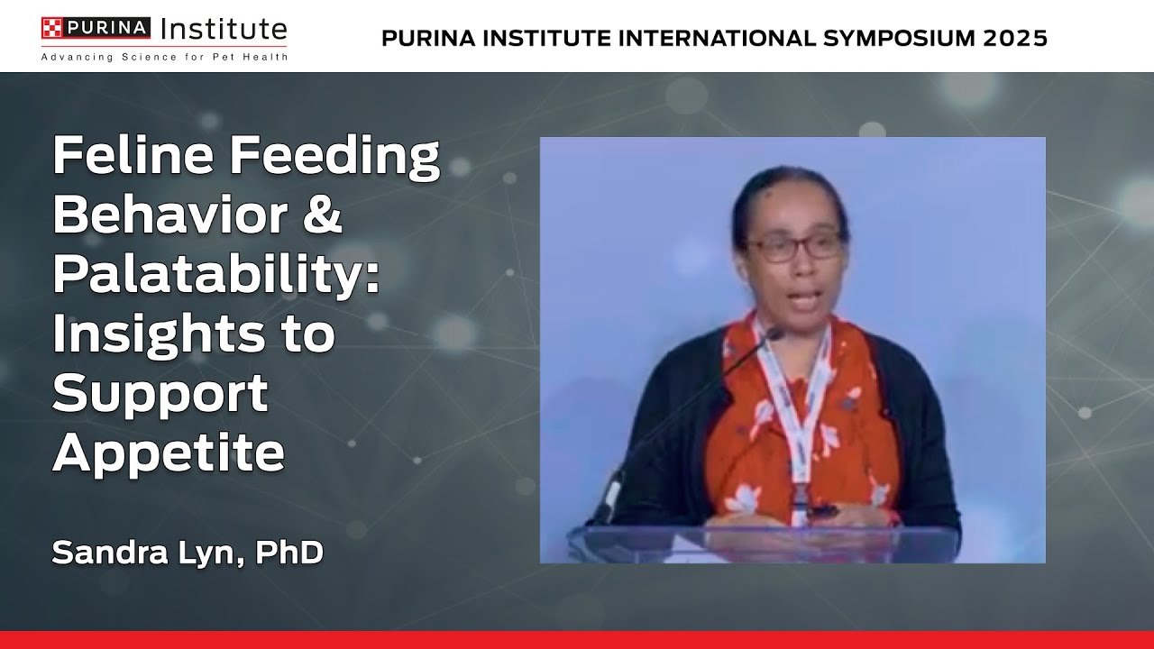 Feline Feeding Behavior & Palatability: Insights to Support Appetite  | Sandra Lyn, PhD