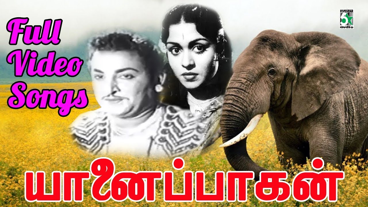 Yanai Paagan Full Movie Video Songs | Udaykumar | Sarojadevi