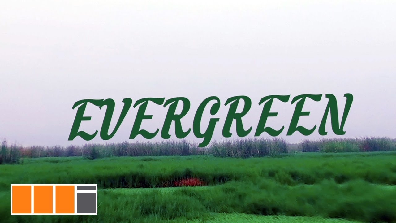 King Maaga - Evergreen (Official Video)