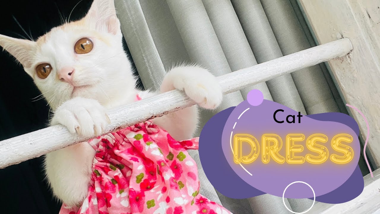 How to make a female cat dress👗|| Cat Dress making tutorial Video||বিড়ালের জামা তৈরি