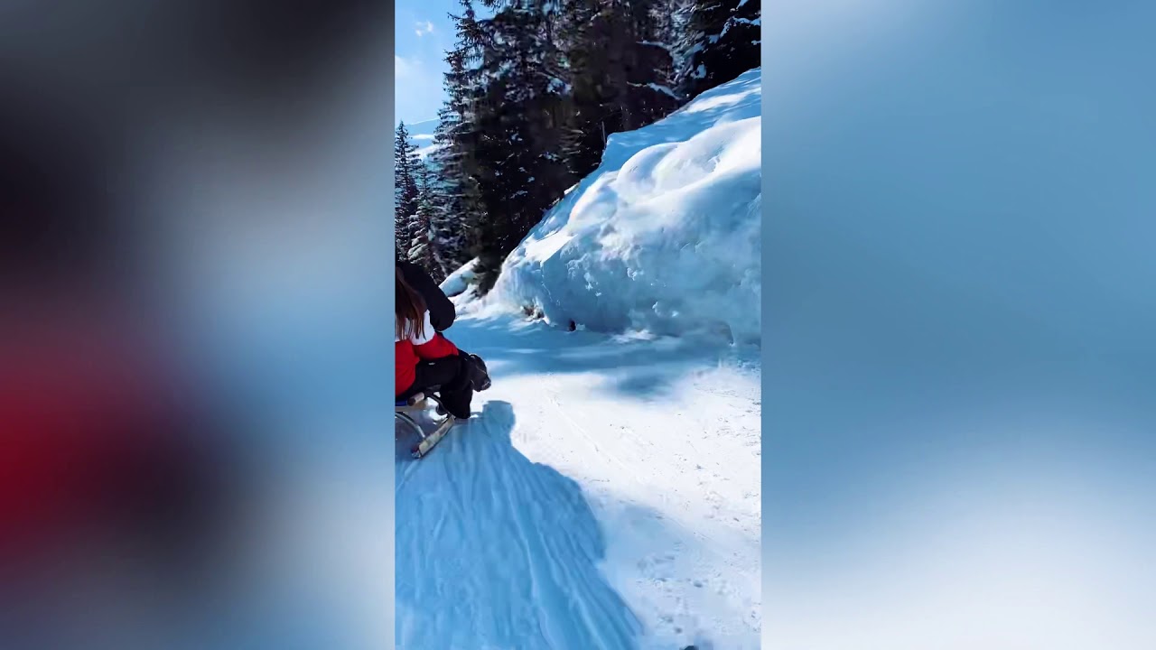 Sledging on the Schatzalp - Davos