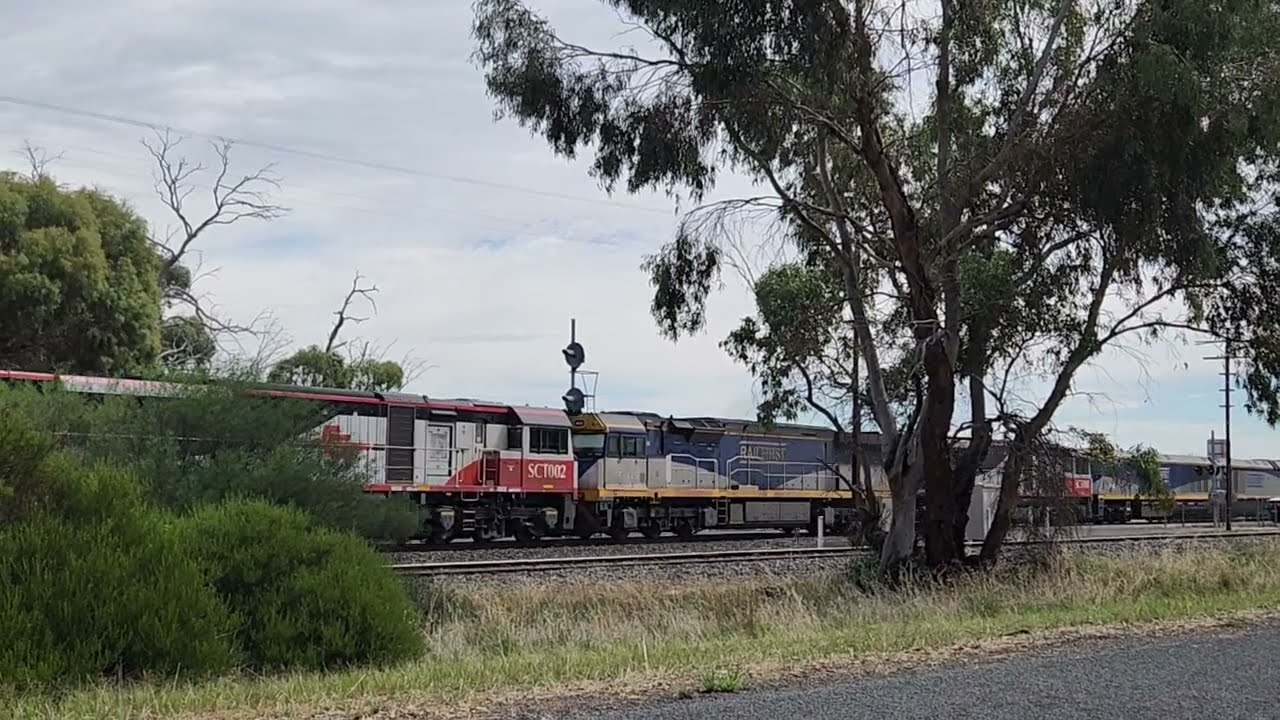 SCT. Dimboola, Victoria. 15/3/2026.