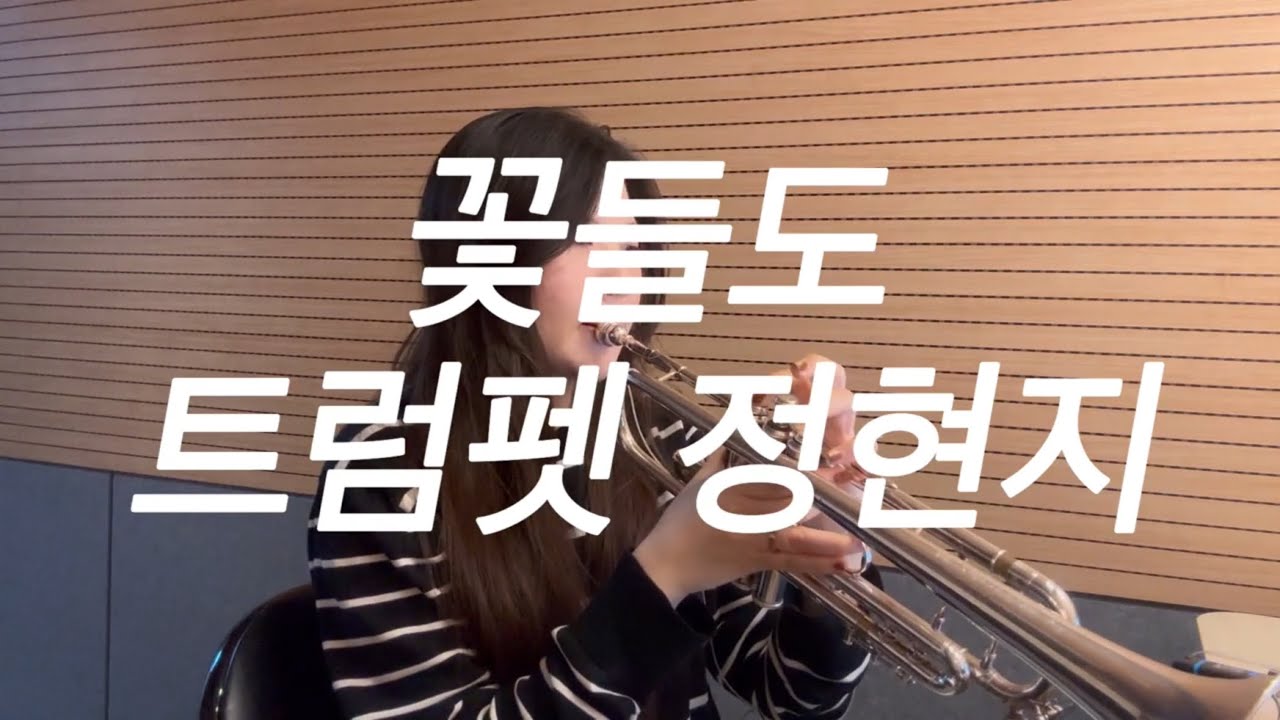 꽃들도 트럼펫정현지