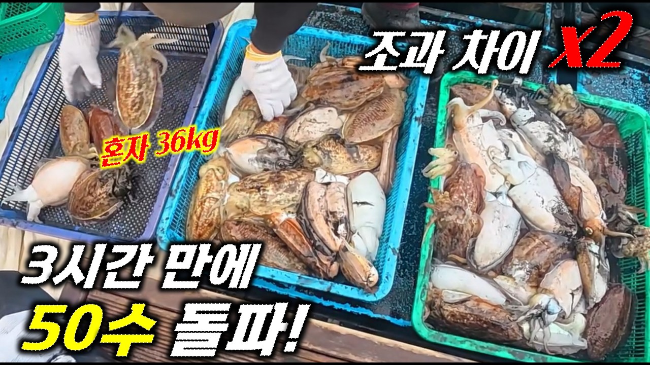 심해 갑오징어 낚시 청기, 백기 막 퍼담았습니다. 기회가 오면 잡아야지!