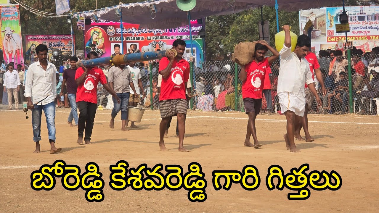 రెంటచింతల సీనియర్స్ 7జత. బోరెడ్డి కేశవరెడ్డి గారి. సాంబ ధర్మ గిత్తలు