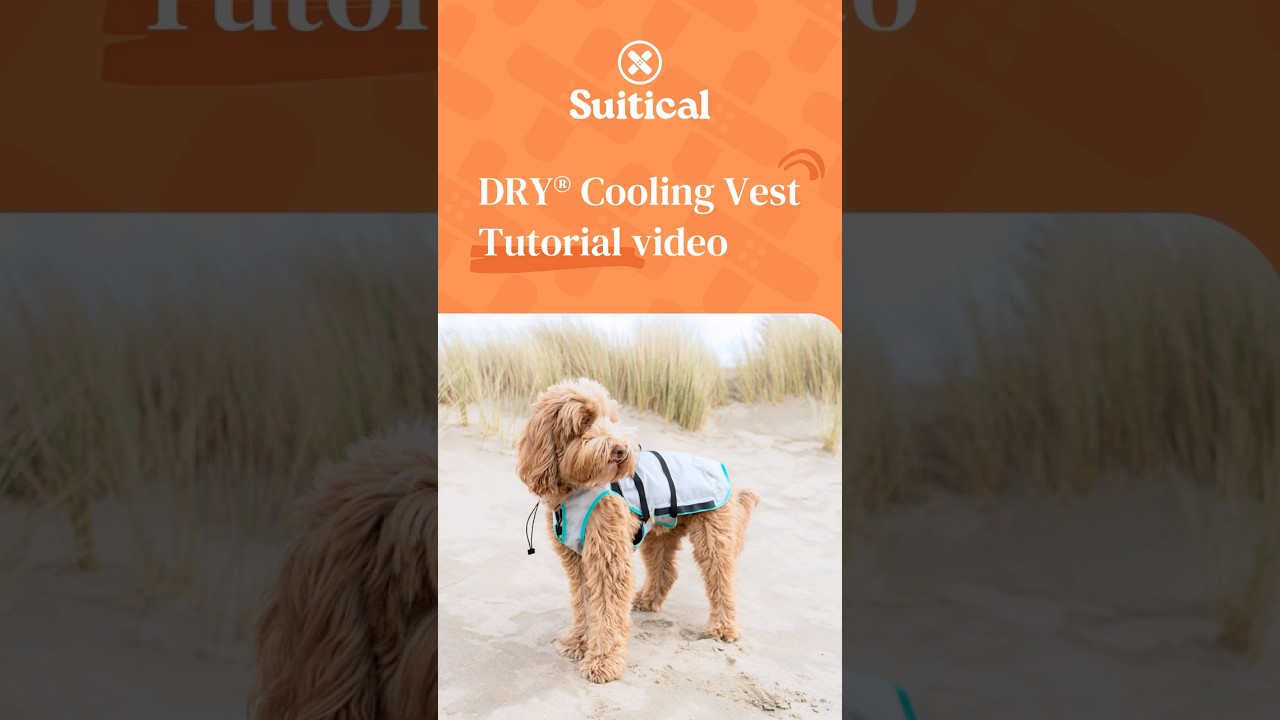 Suitical DRY&reg; Cooling Vest Tutorial
