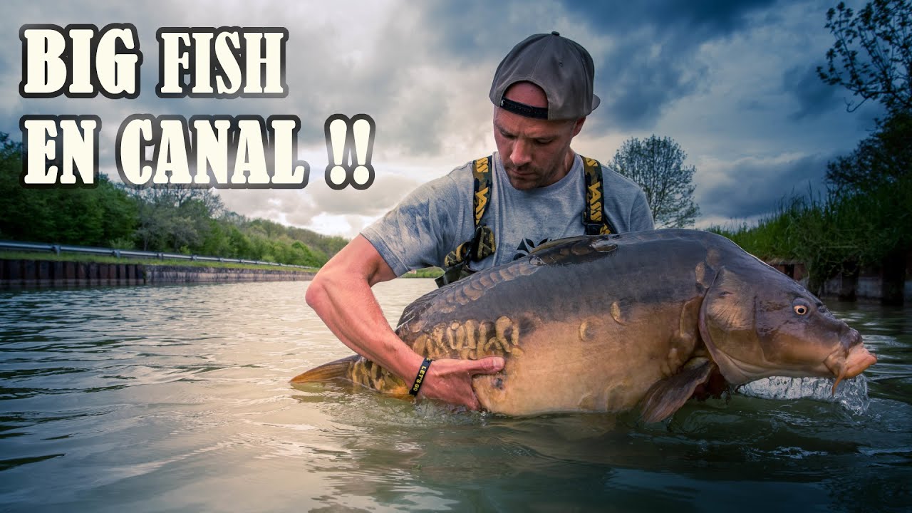 J'ATTRAPE MON RECORD EN CANAL - Carpfishing - Pêche de la carpe