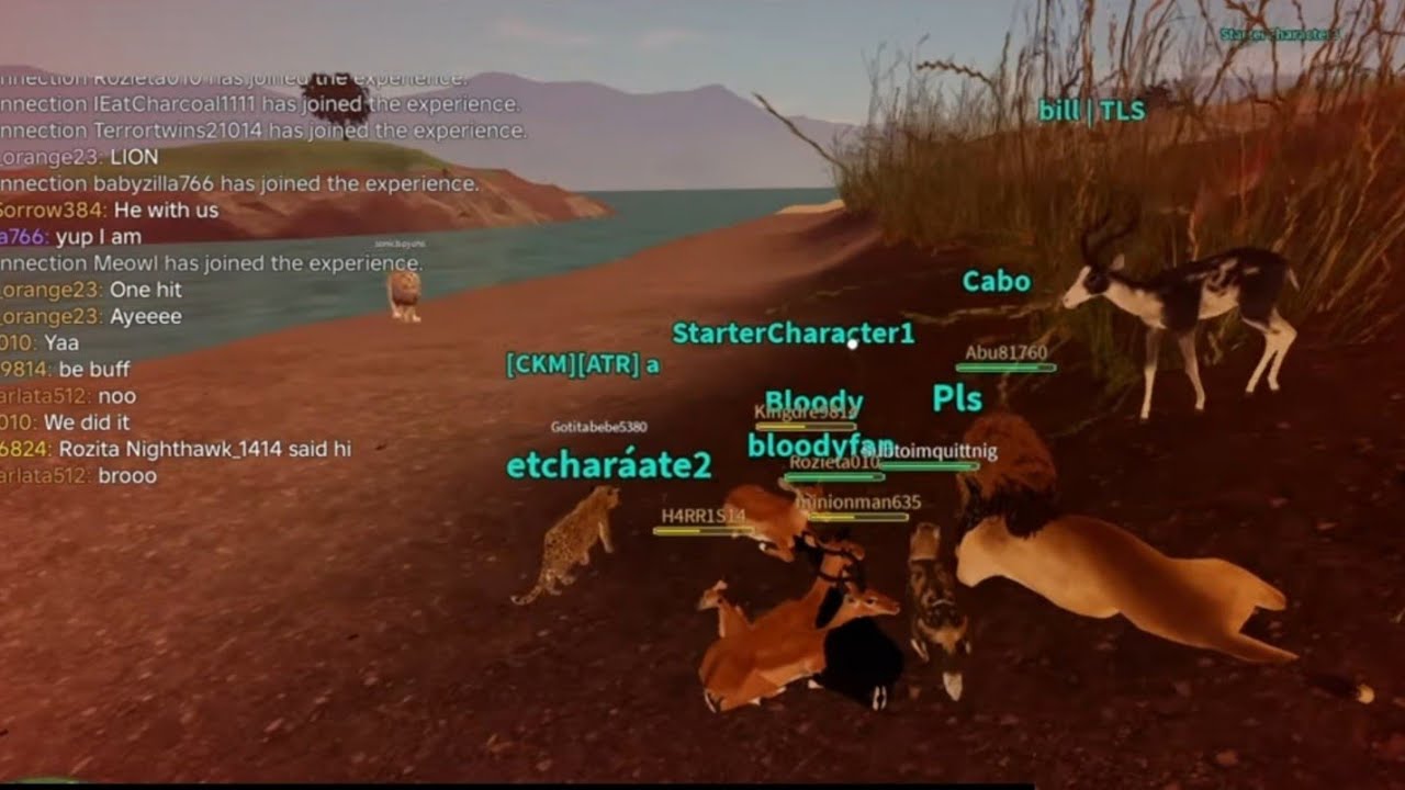 KOSING PLAYERS with a HERD of IMPALAS in savannah life roblox