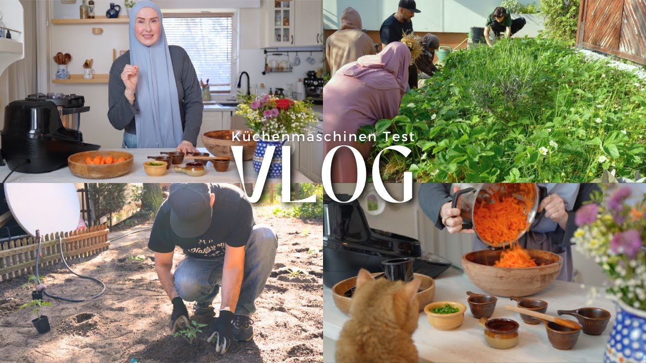 Anti-Aging Salat | Ich Teste den Cookit von Bosch | Garten Update | VLOG
