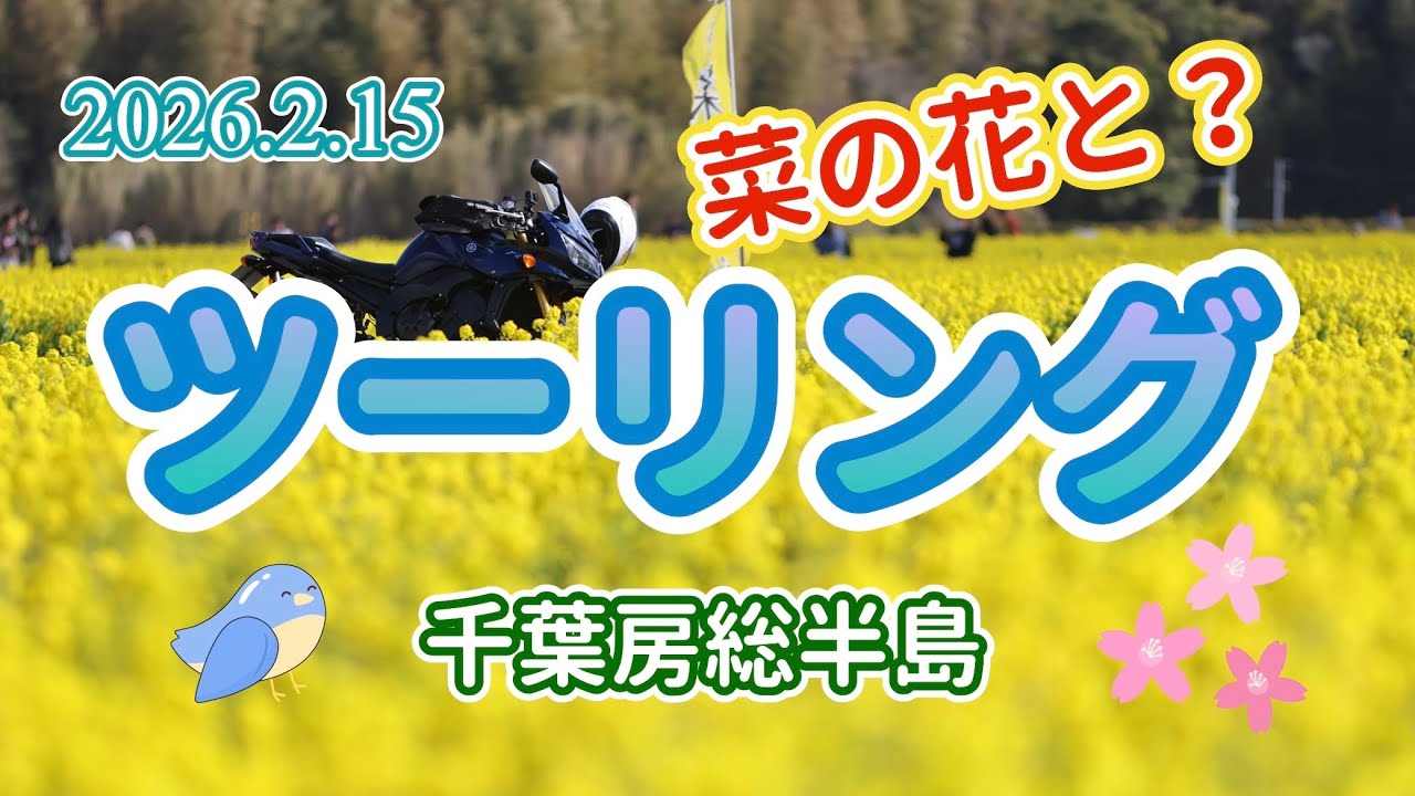 ツーリング　千葉房総半島　菜の花と？