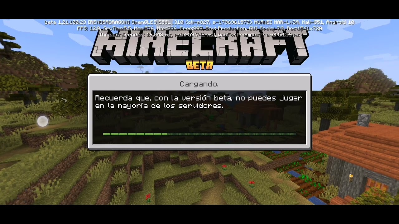 Bug en Minecratf 