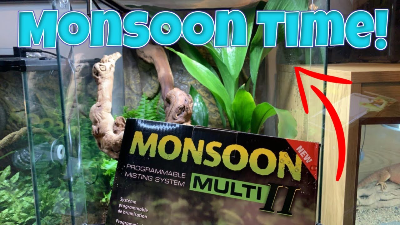Как настроить систему Monsoon Multi!