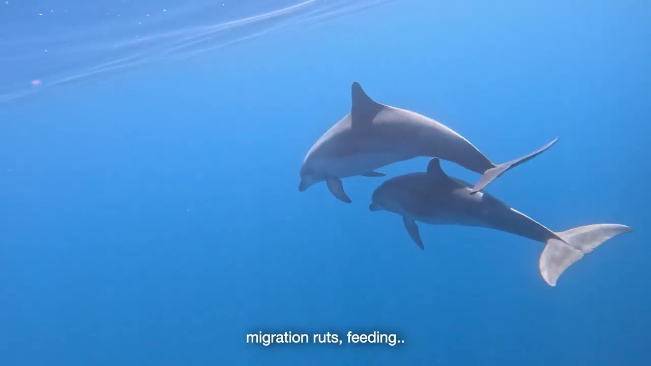 UNDERSEA citizen science app _ HR