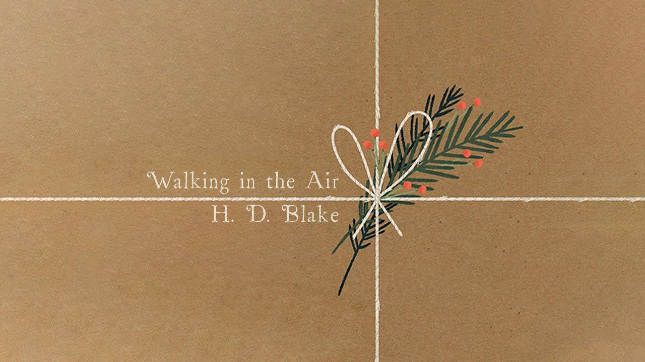 Walking in the Air - Howard David Blake